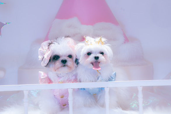 Dress my only 【Pink】