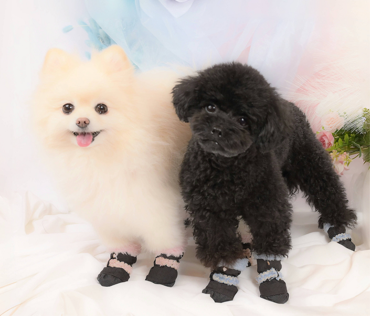 Socks Boots【White】