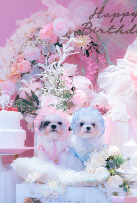 Dress my only 【Pink】