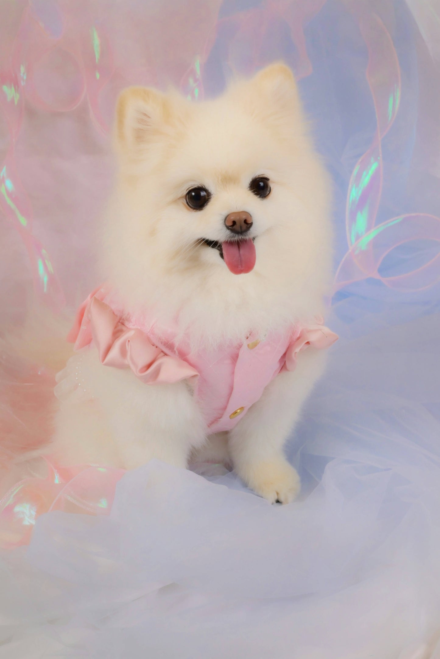Dress my only 【Pink】