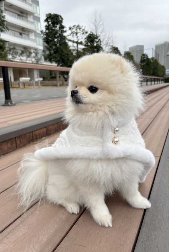 Sparkly Cape【White】